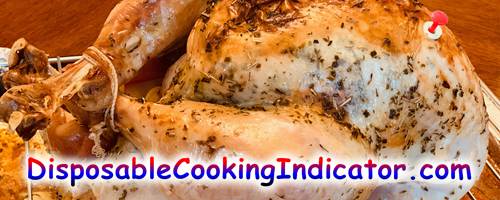 25 disposablecookingindicator.com